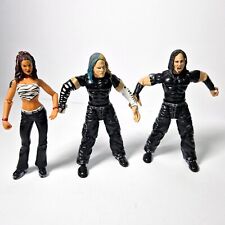 The Hardy Boys & Lita WWE/WWF Wrestling Figures Jakks