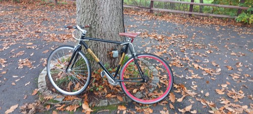 Viking bike urban myth one - urban,