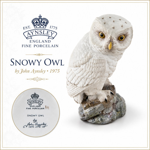 Vintage aynsley snowy - aynsley,