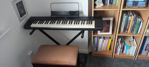 Sdp portable digital piano - sdp-1,