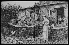 THE FARMERS DAUGHTER FEEDING