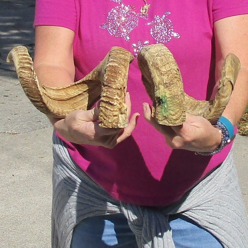 Matching pair inch - of,