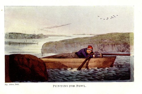 Punting for fowl - for, waterfowl