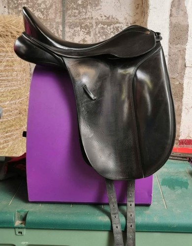 Bates caprilli cair dressage - bates,