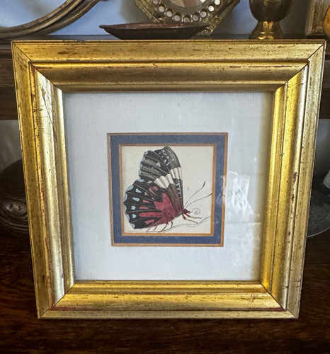 Vintage butterfly print - print, /