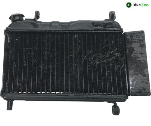 Yamaha tzr 125 - tzr, radiator