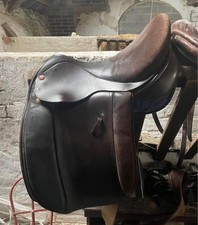 16.5 inch Brown Working hunter