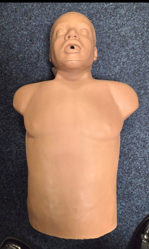 Simulaids adult cpr - adult, training