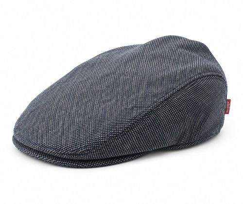 Levi flat cap blue grey - flat, blue/grey