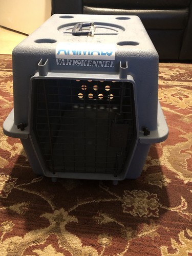 Pet carrier - pet,