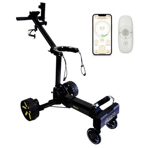 Gozo electric golf - golf, caddy