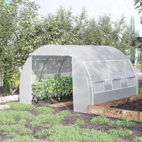 Greenhouse polly tunnel - greenhouse,