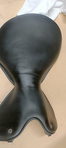 Wow seat size - wow, curved