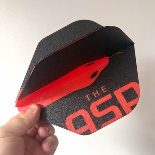 Nathan aspinall the asp - nathan,