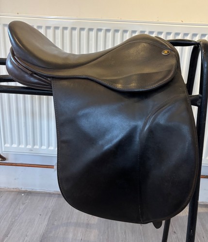 Fylde 15inch working - fylde, hunter