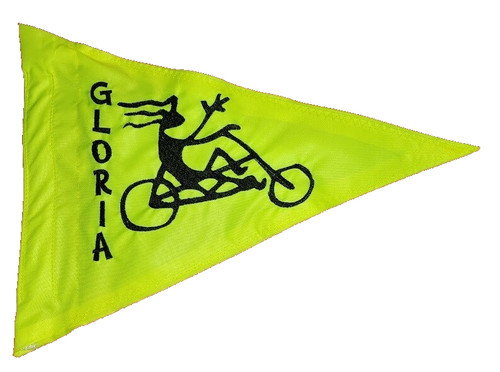 Custom recumbent trike - custom, flag