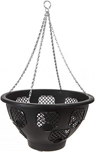 Hanging baskets easy - easy, bloom