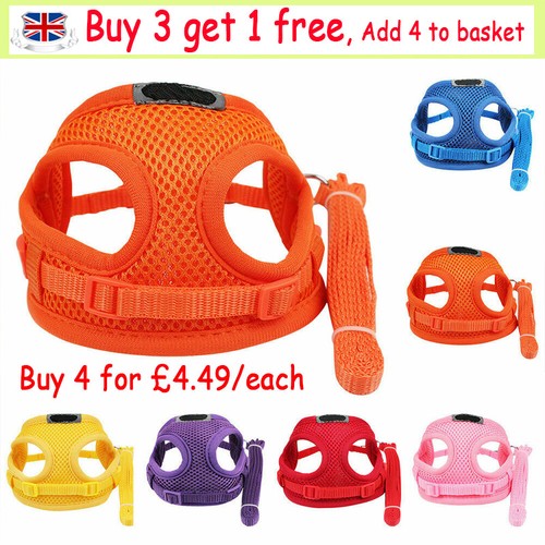 Tiny dogs harness lead set - tiny,