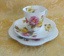 Shelley Bone China Begonia