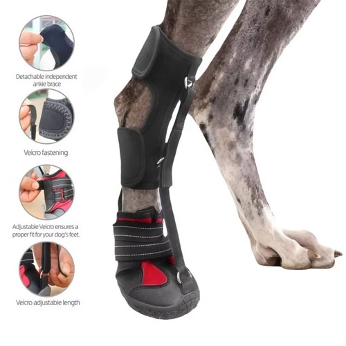 1xno knuckling boot - brace, dog