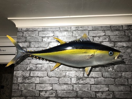 Large antique yellowfin tuna - antique,