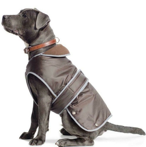 Ancol muddy paws dog - ancol,