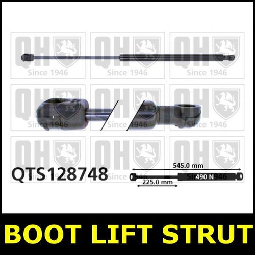 Boot gas strut - boot, tailgate
