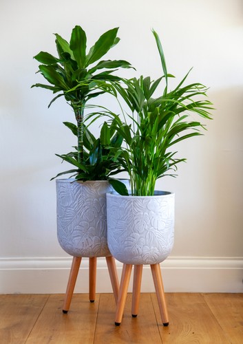 35cm patterned tropical - 35cm,