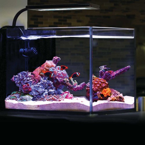Orbit marine nano - orbit,