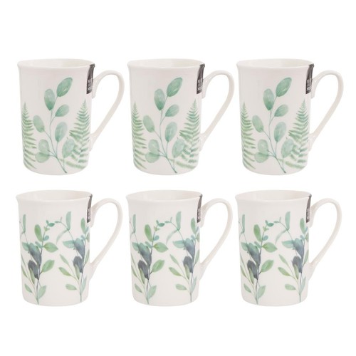 Set eucalyptus new - set, of