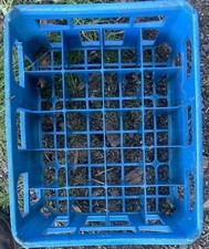 Milk Bottle Crate Vintage Hard Plastic 