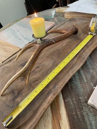 Sika deer antler wrought iron - antler,