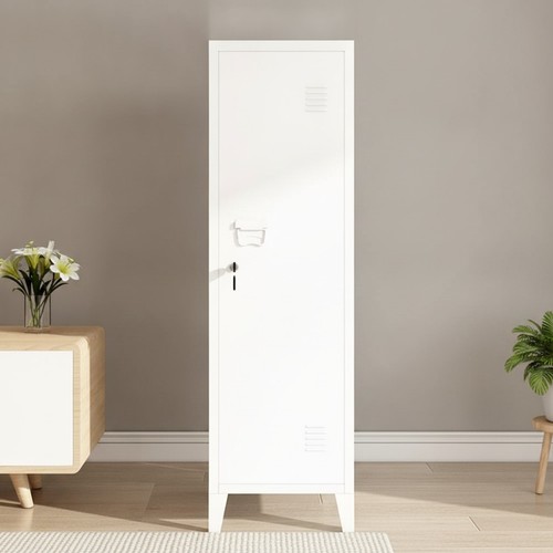 Locker cabinet metal - metal, storage