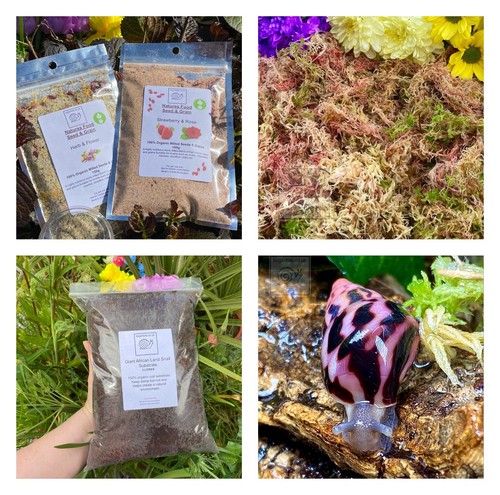 Moss coir food bowl - moss,,