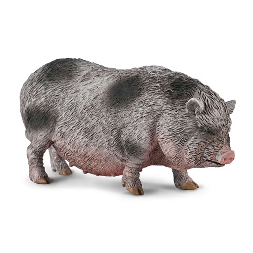 Collecta pot bellied pig - collecta,