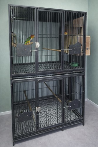Parrot supplies block set - parrot-supplies,