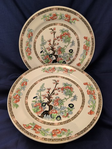 Indian tree dinner plates - indian,