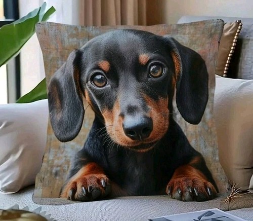 Dachshund puppy dog cushion - puppy,