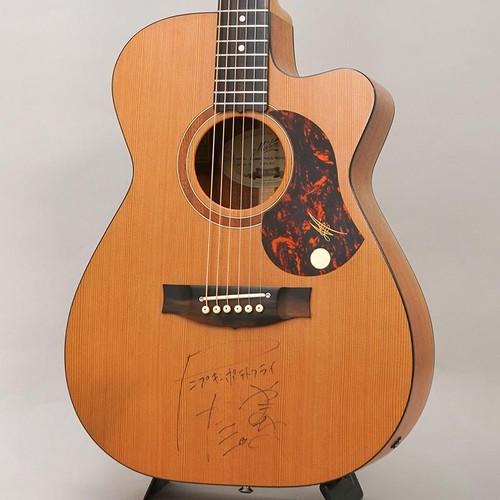 Maton srs808c - maton, (ceder