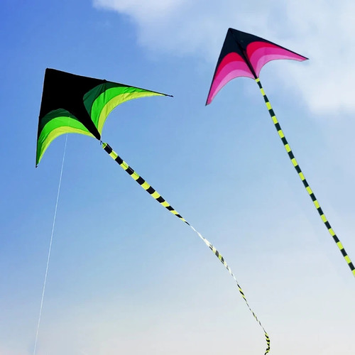 Large delta kite for kids - delta, &