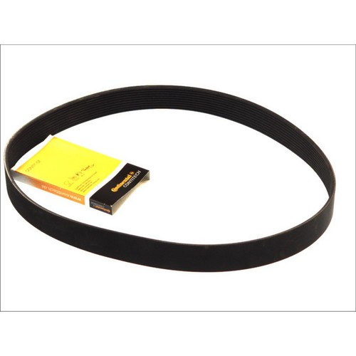 Multi belt fits man lion - man, lion´s