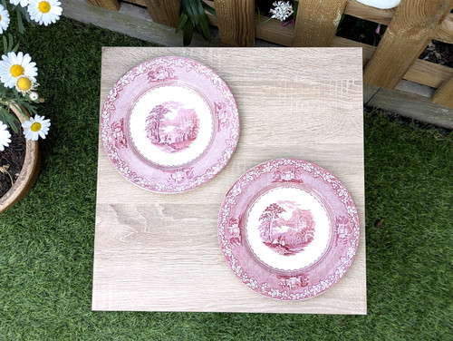 Pair royal staffordshire - pair,