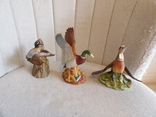 Ski country ducks - country,