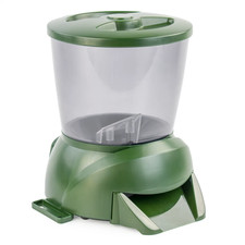 CLEARANCE Pisces Pond Fish Koi