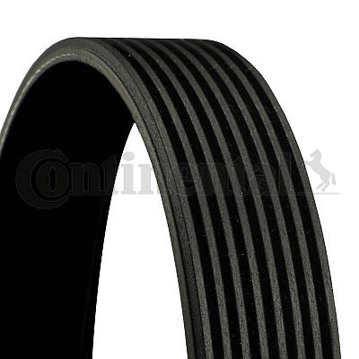 Continental ctam 8pk1840 - ctam,