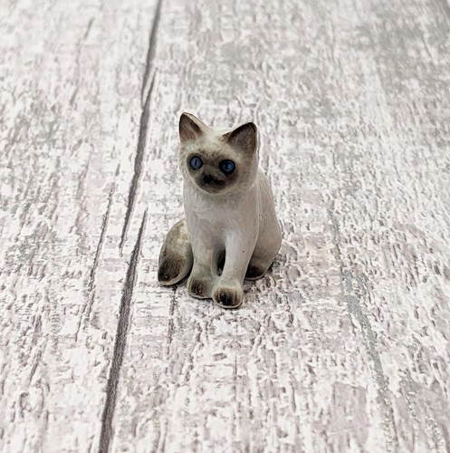 Grey ragdoll cat - cat, kitten