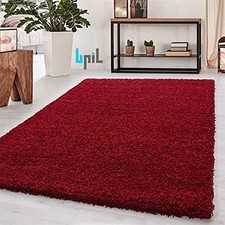 Fluffy Rugs Anti-Slip Large Shaggy Rug Bedroom Living Room Soft Carpet Floor Mat