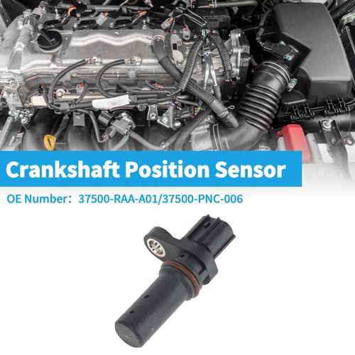 Crankshaft position sensor - crankshaft,