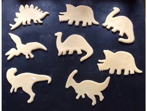 Dinosaur cookie cutters - set, of
