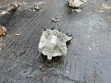 2019 JAGUAR XE 2.0 PETROL AUTO